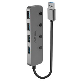 Hub USB LINDY Negro Gris (1 unidad) de LINDY, Hubs de red - Ref: S7717121, Precio: 28,36 €, Descuento: %