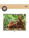 Puzzle Colorbaby Orangutan 6 Unidades 68 x 50 x 0,1 cm | Tienda24 Tienda24.eu