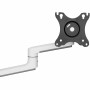 Screen Table Support Neomounts DS60-425WH2 by Neomounts, Monitor Arms & Stands - Ref: S77192157, Price: 119,83 €, Discount: %