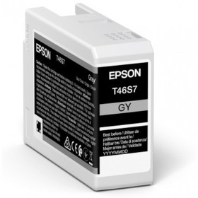 Cartouche d'encre originale Epson C13T46S700 25 ml Noir Gris de Epson, Toners et encre pour imprimante - Réf : S7733011, Prix...