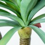 Plante décorative Alexandra House Living Plastique yucca 120 cm de Alexandra House Living, Plantes artificielles - Réf : D162...