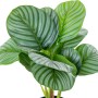 Pianta Decorativa Alexandra House Living Plastica Calathea 50 cm di Alexandra House Living, Piante artificiali - Rif: D162696...