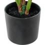 Pianta Decorativa Alexandra House Living Plastica Calathea 50 cm di Alexandra House Living, Piante artificiali - Rif: D162696...