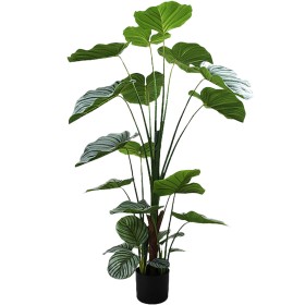 Dekorationspflanze Alexandra House Living Kunststoff Calathea 150 cm von Alexandra House Living, Pflanzen - Ref: D1626968, Pr...