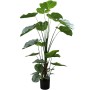 Plante décorative Alexandra House Living Plastique Calathea 150 cm de Alexandra House Living, Plantes artificielles - Réf : D...