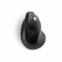 Schnurlose Mouse Kensington K75501EU Schwarz von Kensington, Mäuse - Ref: S7746015, Preis: 54,53 €, Rabatt: %