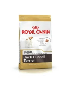 Io penso Royal Canin Jack Russell Adult Adulto Riso Uccelli 1,5 Kg da Royal Canin, Secco - Ref: S9105282, Precio: 17,85 €, De...