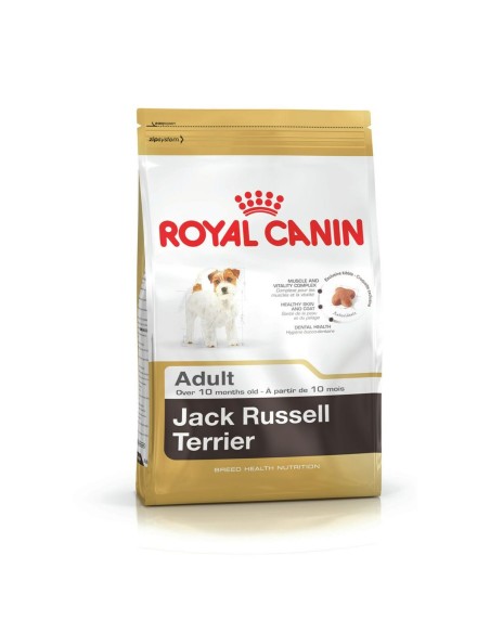 Pienso Royal Canin Jack Russell Adult Adulto Arroz Aves 1,5 Kg | Tienda24 Tienda24.eu