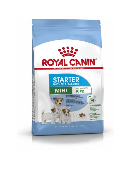 Penso Royal Canin Starter Mother And Babydog Adulto Pássaros 1 kg | Tienda24 Tienda24.eu