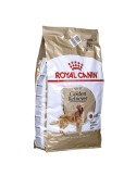 Nourriture Royal Canin Golden Retriever Adult Adulte Poulet 12 kg | Tienda24 Tienda24.eu