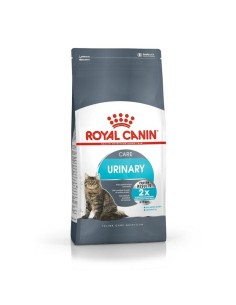 Cat food Royal Canin Kitten Birds 4 Kg | Tienda24 Tienda24.eu