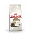 Aliments pour chat Royal Canin Senior Ageing 12+ Senior Poulet Légumes Oiseaux 400 g | Tienda24 Tienda24.eu