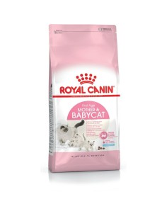 Cibo per gatti Royal Canin Mother & Babycat Adulto Pollo Uccelli 400 g da Royal Canin, Secco - Ref: S9105301, Precio: 10,21 €...