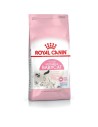 Comida para gato Royal Canin Mother & Babycat Adulto Pollo Aves 400 g | Tienda24 Tienda24.eu