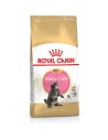 Cibo per gatti Royal Canin Maine Coon Kitten Pollo Riso Uccelli 4 Kg da Royal Canin, Secco - Ref: S9105337, Precio: 65,26 €, ...