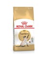 Cibo per gatti Royal Canin Siamese Adulto Pollo Uccelli 2 Kg da Royal Canin, Secco - Ref: S9105343, Precio: 35,76 €, Descuent...