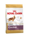 Fodder Royal Canin Cocker Adult 12 kg Adult Rice Corn Birds | Tienda24 Tienda24.eu