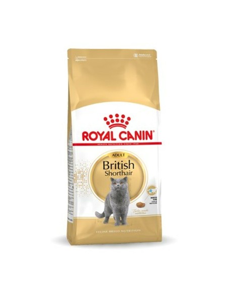 Cat food Royal Canin British Shorthair Adult Adult 10 kg | Tienda24 Tienda24.eu