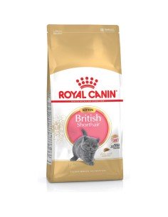 Cibo per gatti Royal Canin British Shorthair Kitten Pollo Riso Vegetale Uccelli 2 Kg da Royal Canin, Secco - Ref: S9105371, P...