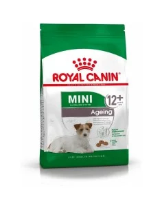 Fodder Royal Canin BHN Breed Pomaranian Adult 500 g | Tienda24 Tienda24.eu