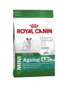 Fodder Royal Canin Mini Ageing 12+ Adult Senior Birds 3,5 g | Tienda24 Tienda24.eu