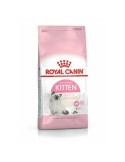 Cat food Royal Canin Kitten Birds 4 Kg | Tienda24 Tienda24.eu