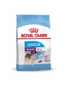 Io penso Royal Canin Giant Junior 15 kg Cucciolo/Junior da Royal Canin, Secco - Ref: S9105426, Precio: 90,87 €, Descuento: %