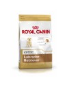 Io penso Royal Canin Labrador Retriever Junior 12 kg Cucciolo/Junior Riso Mais Uccelli da Royal Canin, Secco - Ref: S9105434,...