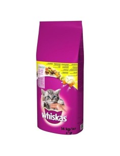 Comida para gato Purina Cat Chow Kitten Frango 1,5 Kg | Tienda24 Tienda24.eu