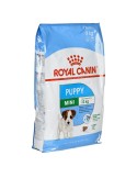 Nourriture Royal Canin Mini Puppy Petit/Junior Poulet Riz Oiseaux 8 kg | Tienda24 Tienda24.eu