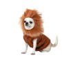 Costume per Cane Taglia S Leone | Tienda24 - Global Online Shop Tienda24.eu