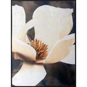 Pintura Romimex Veludo Madeira MDF Flor 83 x 123 x 4 cm de Romimex, Pinturas artísticas - Ref: D1628692, Preço: 127,62 €, Des...