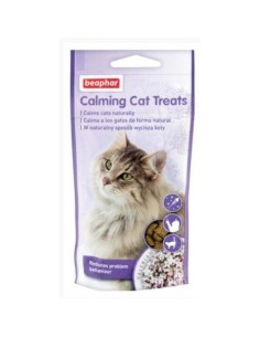 Snack para Gatos Brit Care Raw Treat Pavo 40 g | Tienda24 Tienda24.eu