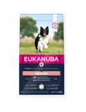 Penso Eukanuba Mature & Senior Adulto Borrego Arroz 2,5 kg | Tienda24 Tienda24.eu