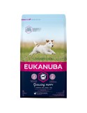 Fodder Eukanuba Growing Puppy Small Breed Kid/Junior Chicken 3 Kg | Tienda24 Tienda24.eu