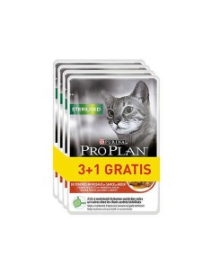 Comida para gato SCHESIR Peixe 6 x 50 g | Tienda24 Tienda24.eu