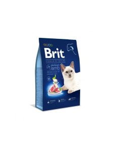 Comida para gato Royal Canin Savour Exigent Adulto Pollo Arroz Maíz Vegetal Aves 400 g | Tienda24 Tienda24.eu