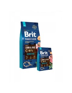 Penso Brit Care Hypoallergenic Senior Sénior Borrego Arroz 12 kg | Tienda24 Tienda24.eu