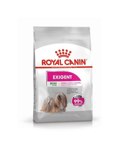 Penso Royal Canin Mini Exigent Adulto Pássaros 3 Kg | Tienda24 Tienda24.eu