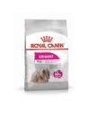 Hundefutter Royal Canin Mini Exigent Erwachsener Vögel 3 Kg | Tienda24 Tienda24.eu