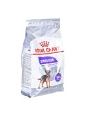 Fodder Royal Canin Mini Sterilised Adult 3 Kg | Tienda24 Tienda24.eu