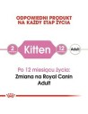 Aliments pour chat Royal Canin Kitten Jelly Poulet 85 g | Tienda24 Tienda24.eu