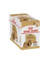 Wet food Royal Canin Meat 12 x 85 g | Tienda24 Tienda24.eu