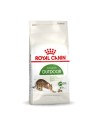 Aliments pour chat Royal Canin Outdoor Adulte Poulet 2 Kg | Tienda24 Tienda24.eu