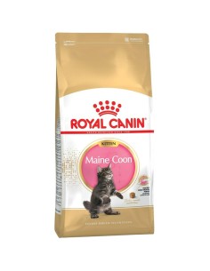 Cibo per gatti Royal Canin Maine Coon Kitten Riso Uccelli 2 Kg da Royal Canin, Secco - Ref: S9111296, Precio: 38,83 €, Descue...