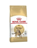 Comida para gato Royal Canin Bengal Adult Adulto Vegetal Aves 2 Kg | Tienda24 Tienda24.eu