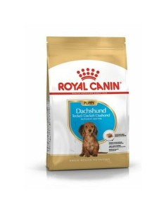 Penso Royal Canin Starter Mother And Babydog Adulto Pássaros 1 kg | Tienda24 Tienda24.eu