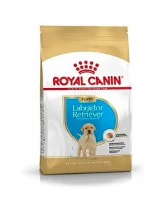 Penso Royal Canin Mini Sénior Arroz Vegetal Pássaros 800 g | Tienda24 Tienda24.eu