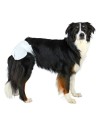 Nappies Trixie 23634 Dog M/L | Tienda24 Tienda24.eu