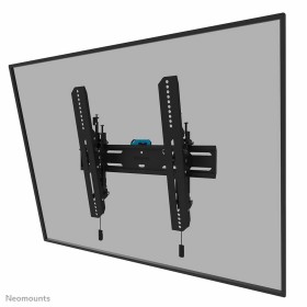 Wall Bracket Neomounts WL35S-850BL14 32-65" Black Multicolour 32" by Neomounts, Monitor Arms & Stands - Ref: S7771388, Price:...